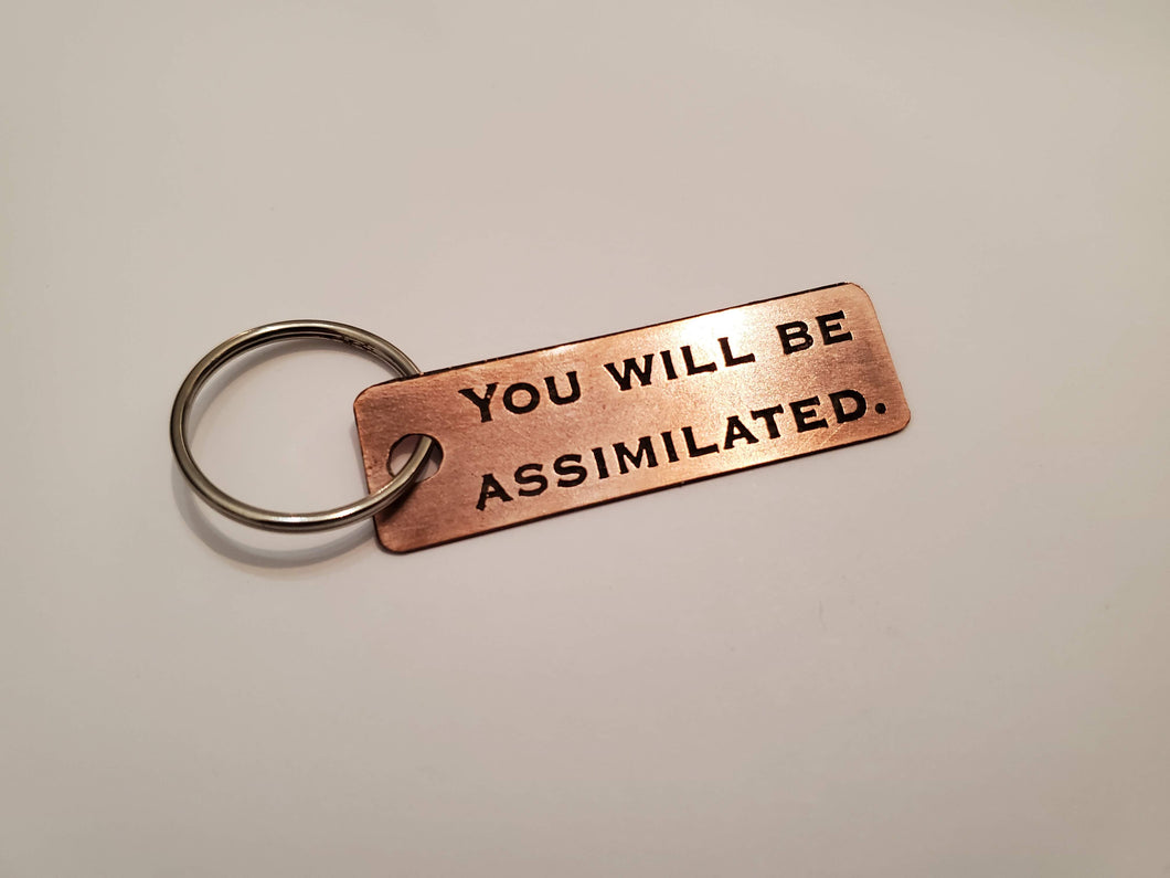 You will be assimilated - Key Chain